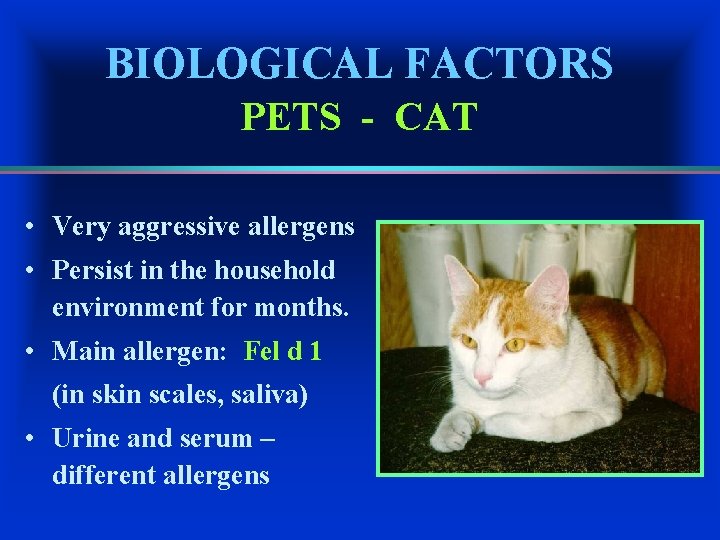 BIOLOGICAL FACTORS PETS - CAT • Very aggressive allergens • Persist in the household