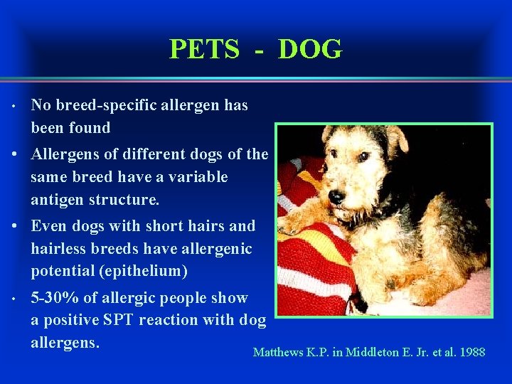 PETS - DOG • No breed-specific allergen has been found • Allergens of different