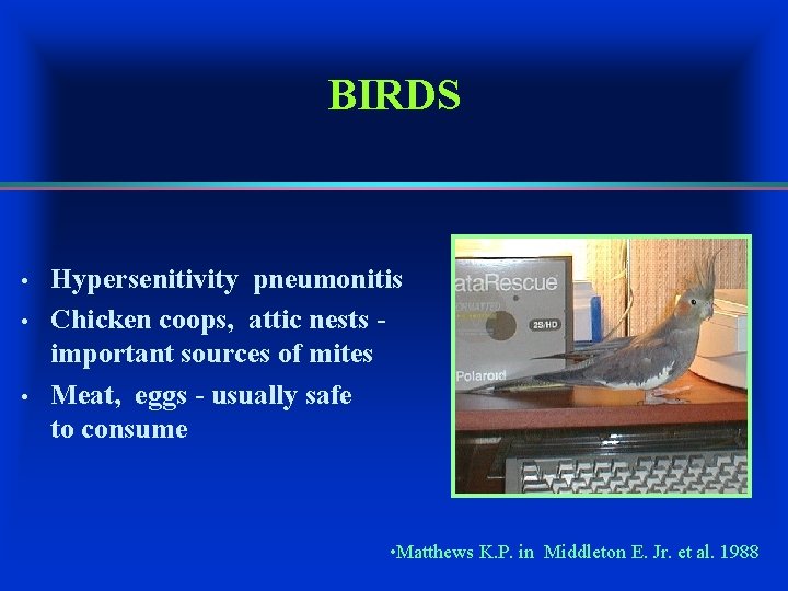 BIRDS • • • Hypersenitivity pneumonitis Chicken coops, attic nests important sources of mites
