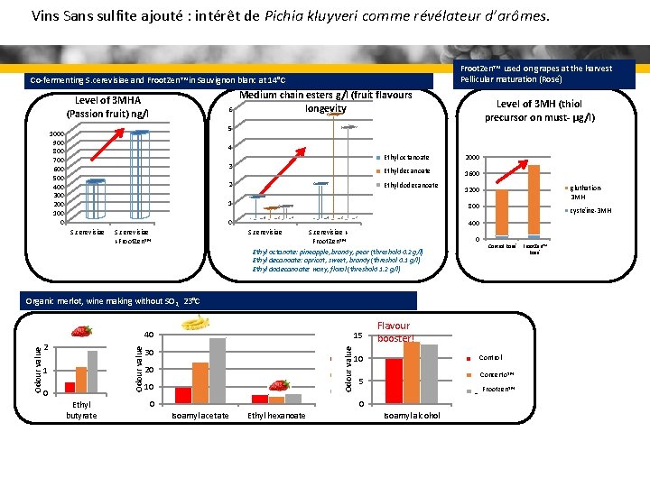 Vins Sans sulfite ajouté : intérêt de Pichia kluyveri comme révélateur d’arômes. Froot. Zen™