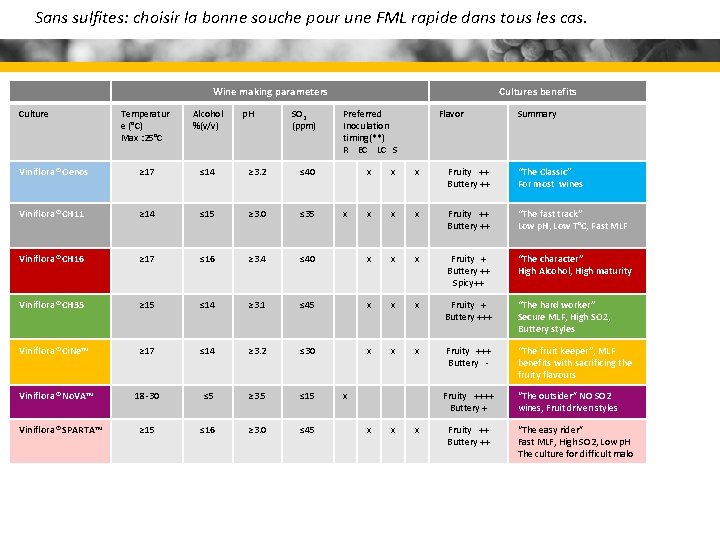 Sans sulfites: choisir la bonne souche pour une FML rapide dans tous les cas.