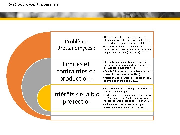 Brettanomyces bruxellensis. Problème Brettanomyces : • Causes variétales (richesse en acides phénols) et viticoles