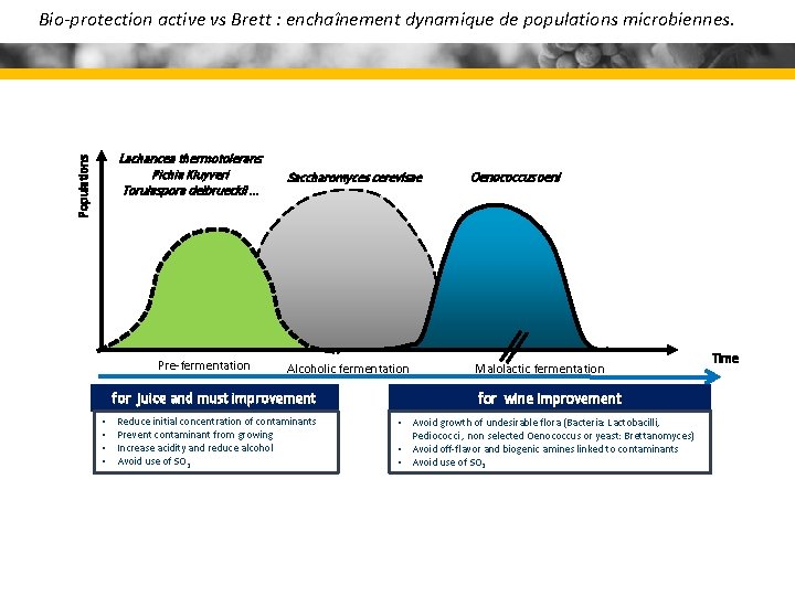 Bio-protection active vs Brett : enchaînement dynamique de populations microbiennes. Populations Lachancea thermotolerans Pichia