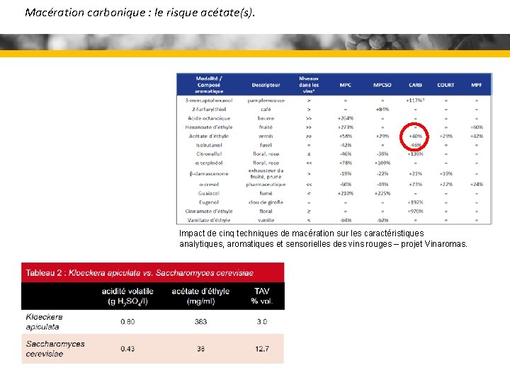 Macération carbonique : le risque acétate(s). Impact de cinq techniques de macération sur les