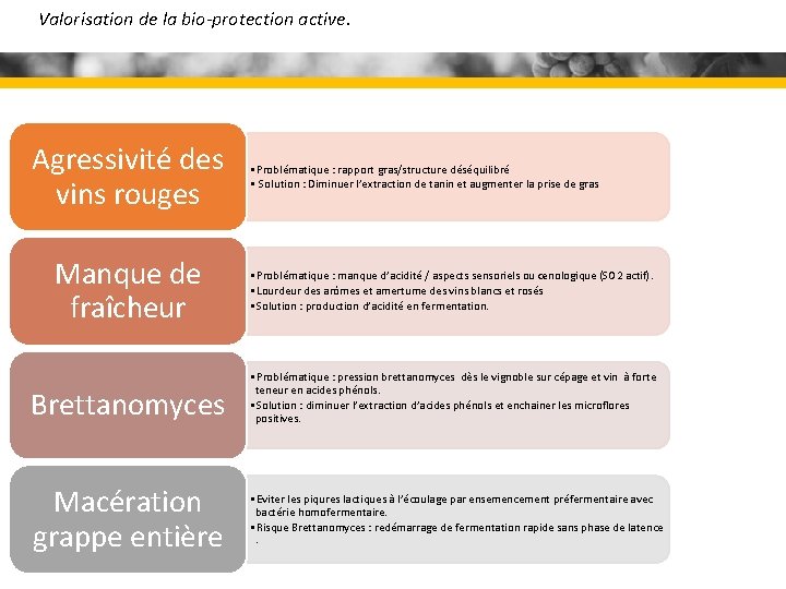 Valorisation de la bio-protection active. Agressivité des vins rouges Manque de fraîcheur Brettanomyces Macération