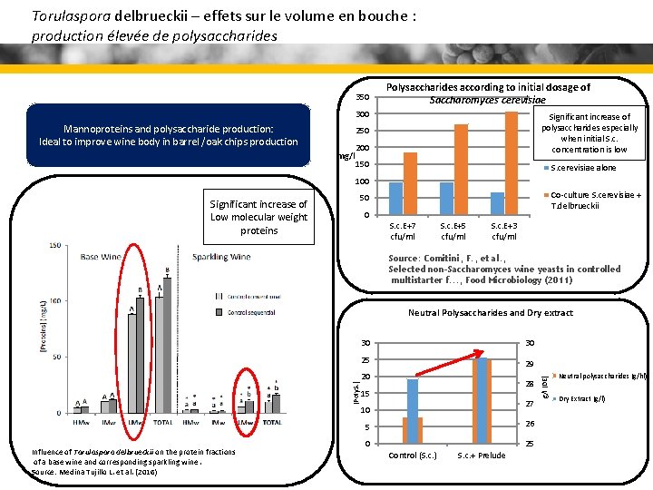 Torulaspora delbrueckii – effets sur le volume en bouche : production élevée de polysaccharides