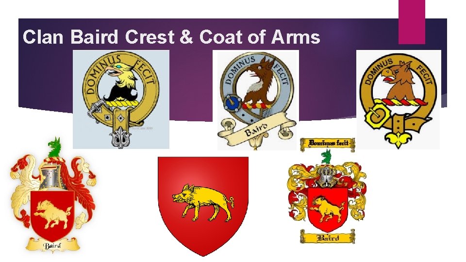 Clan Baird Crest & Coat of Arms 