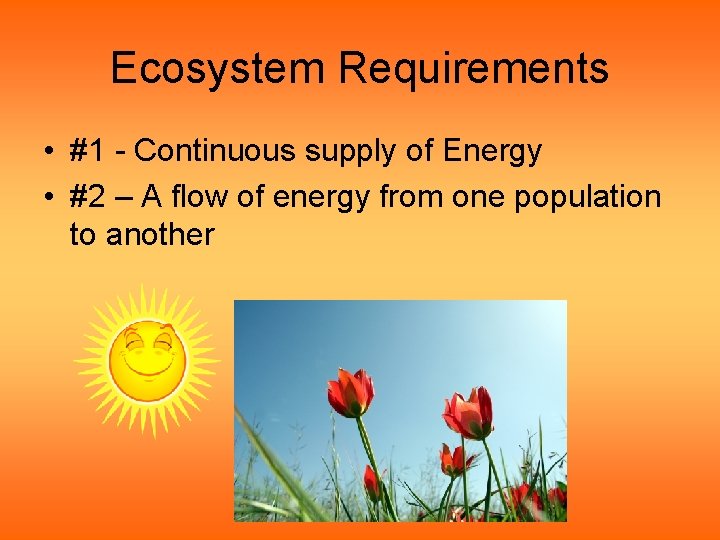 Ecosystem Requirements • #1 - Continuous supply of Energy • #2 – A flow