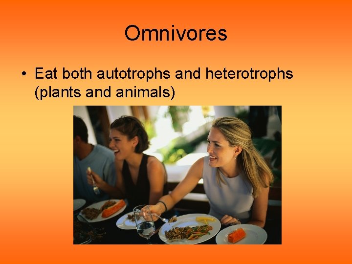 Omnivores • Eat both autotrophs and heterotrophs (plants and animals) 