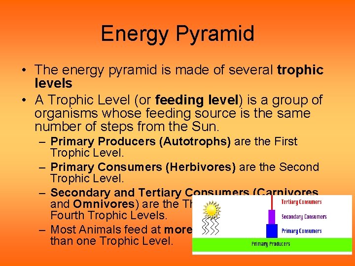 Energy Pyramid • The energy pyramid is made of several trophic levels • A