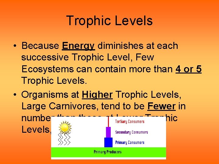 Trophic Levels • Because Energy diminishes at each successive Trophic Level, Few Ecosystems can