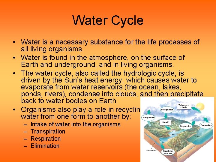 Water Cycle • Water is a necessary substance for the life processes of all