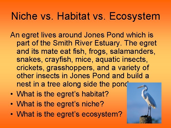 Niche vs. Habitat vs. Ecosystem An egret lives around Jones Pond which is part