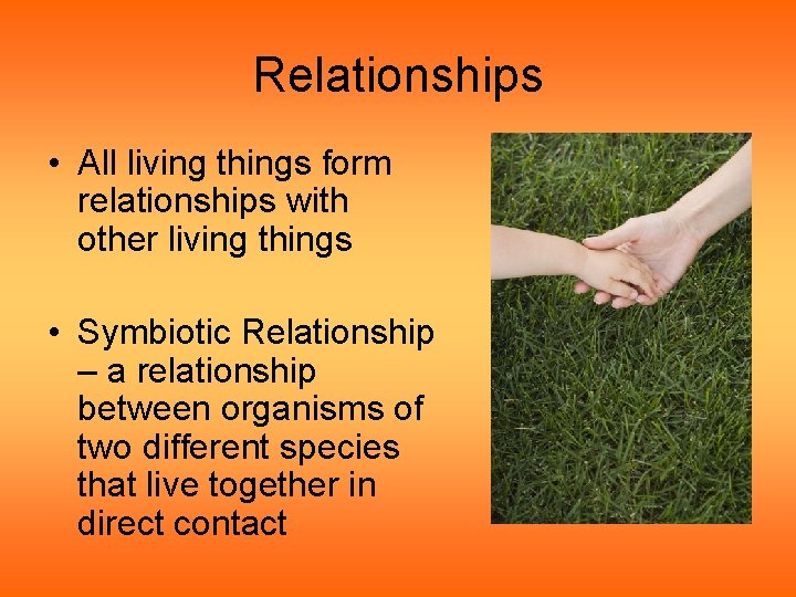 Relationships • All living things form relationships with other living things • Symbiotic Relationship