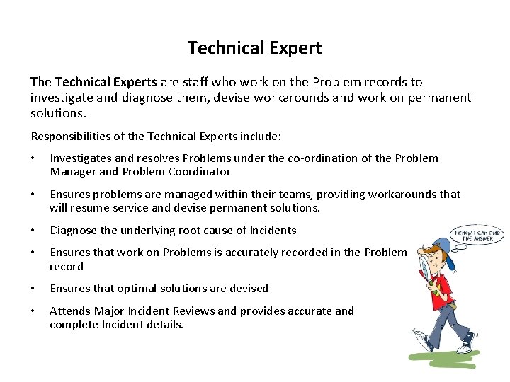 Technical Expert The Technical Experts are staff who work on the Problem records to