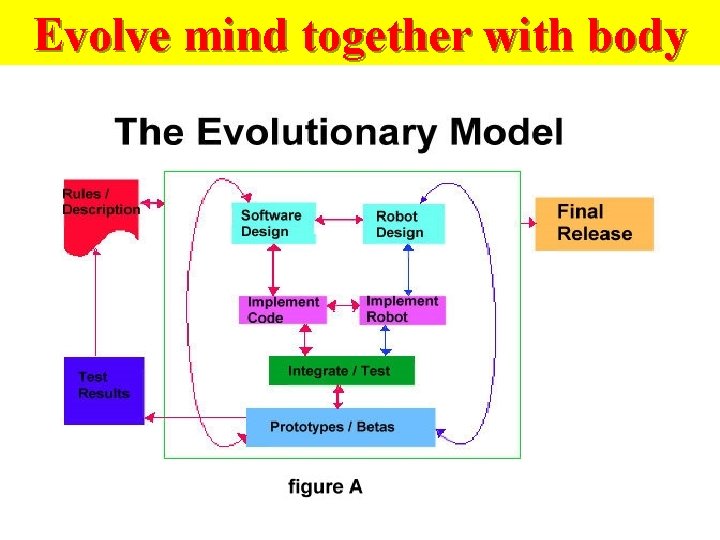 Evolve mind together with body 