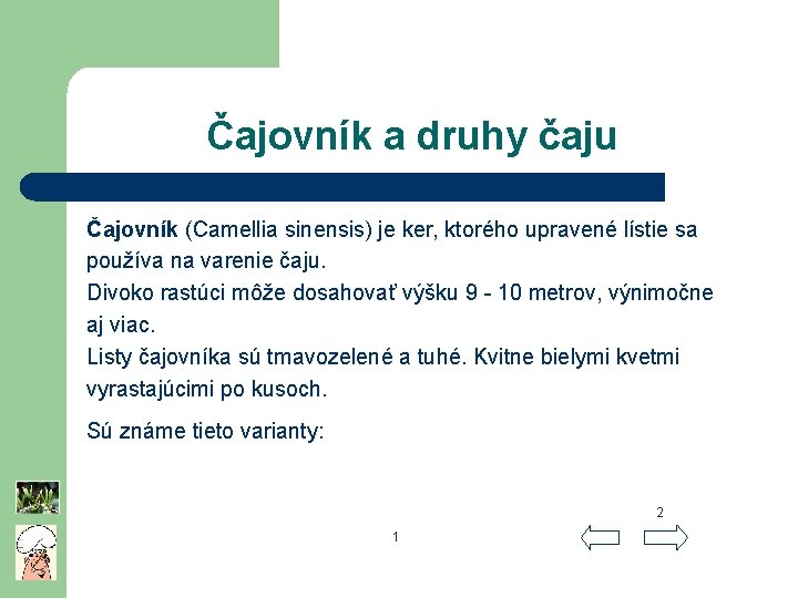 Čajovník a druhy čaju Čajovník (Camellia sinensis) je ker, ktorého upravené lístie sa používa