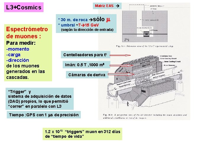 Matriz EAS L 3+Cosmics Espectrómetro de muones : * 30 m. de roca sólo