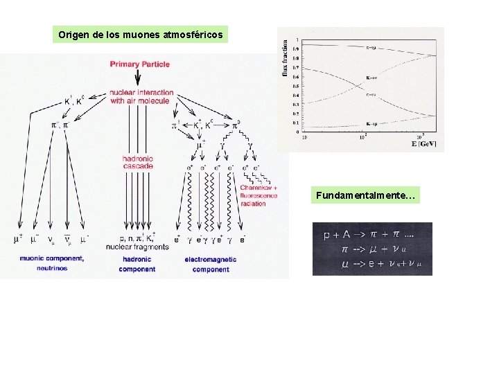 Origen de los muones atmosféricos Fundamentalmente… 
