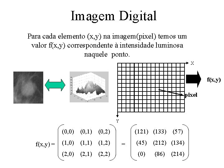 Imagem Digital Para cada elemento (x, y) na imagem(pixel) temos um valor f(x, y)