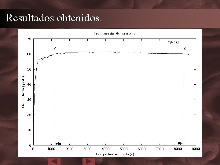 Resultados obtenidos. 