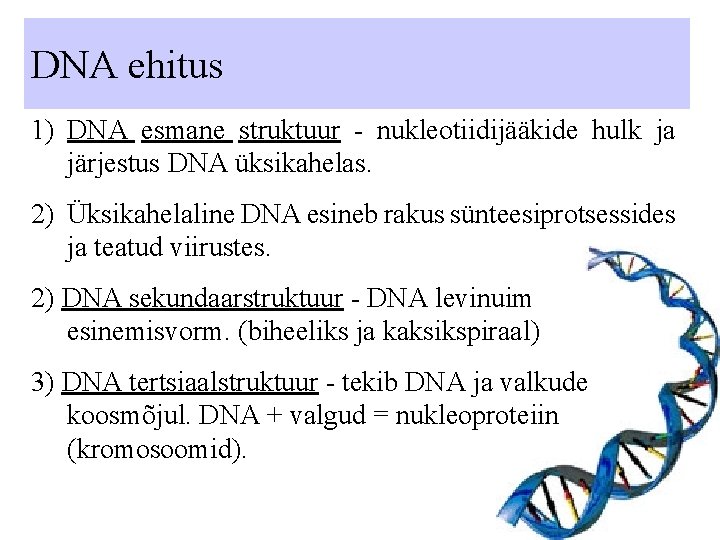 DNA ehitus 1) DNA esmane struktuur - nukleotiidijääkide hulk ja järjestus DNA üksikahelas. 2)