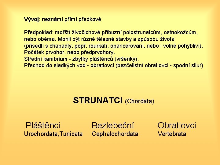 Vývoj: neznámí přímí předkové Předpoklad: mořští živočichové příbuzní polostrunatcům, ostnokožcům, nebo oběma. Mohli být