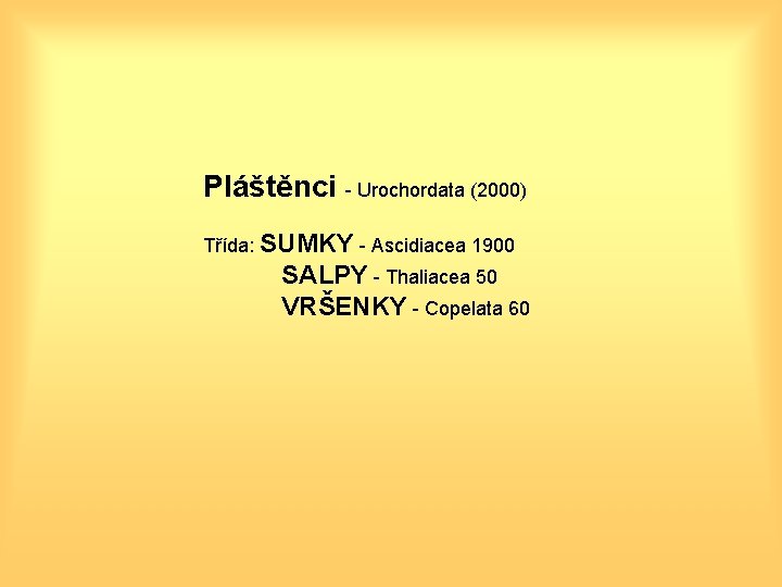 Pláštěnci - Urochordata (2000) Třída: SUMKY - Ascidiacea 1900 SALPY - Thaliacea 50 VRŠENKY