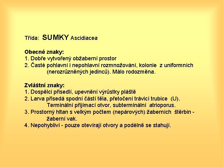 Třída: SUMKY Ascidiacea Obecné znaky: 1. Dobře vytvořený obžaberní prostor 2. Časté pohlavní i