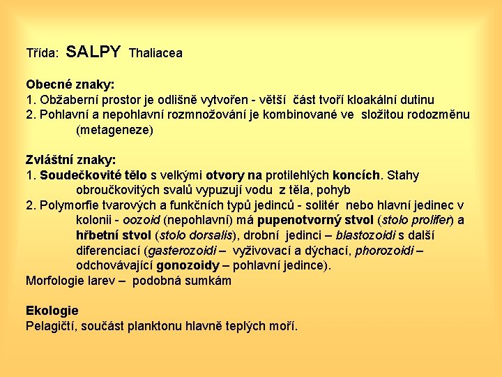 Třída: SALPY Thaliacea Obecné znaky: 1. Obžaberní prostor je odlišně vytvořen - větší část