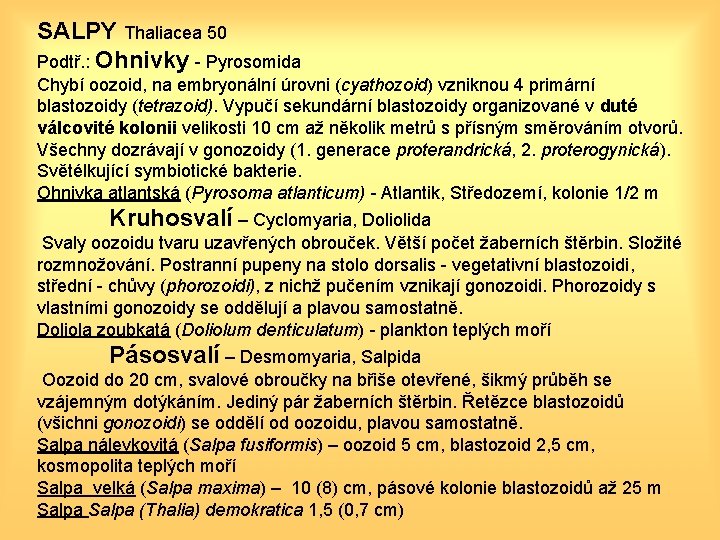 SALPY Thaliacea 50 Podtř. : Ohnivky - Pyrosomida Chybí oozoid, na embryonální úrovni (cyathozoid)