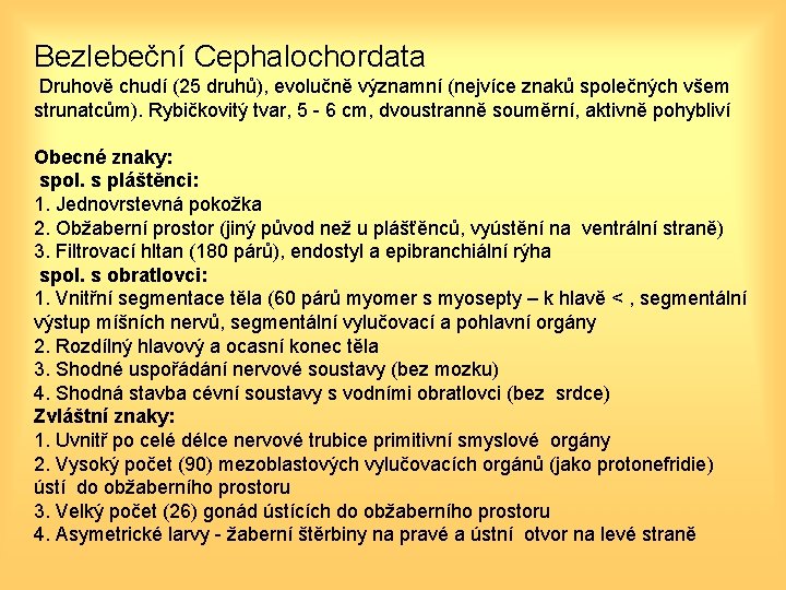 Bezlebeční Cephalochordata Druhově chudí (25 druhů), evolučně významní (nejvíce znaků společných všem strunatcům). Rybičkovitý