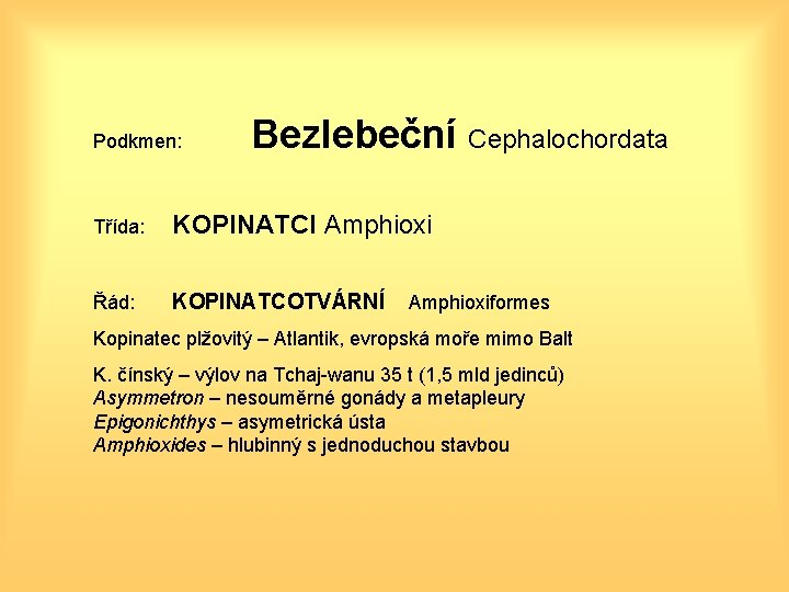 Podkmen: Bezlebeční Cephalochordata Třída: KOPINATCI Amphioxi Řád: KOPINATCOTVÁRNÍ Amphioxiformes Kopinatec plžovitý – Atlantik, evropská