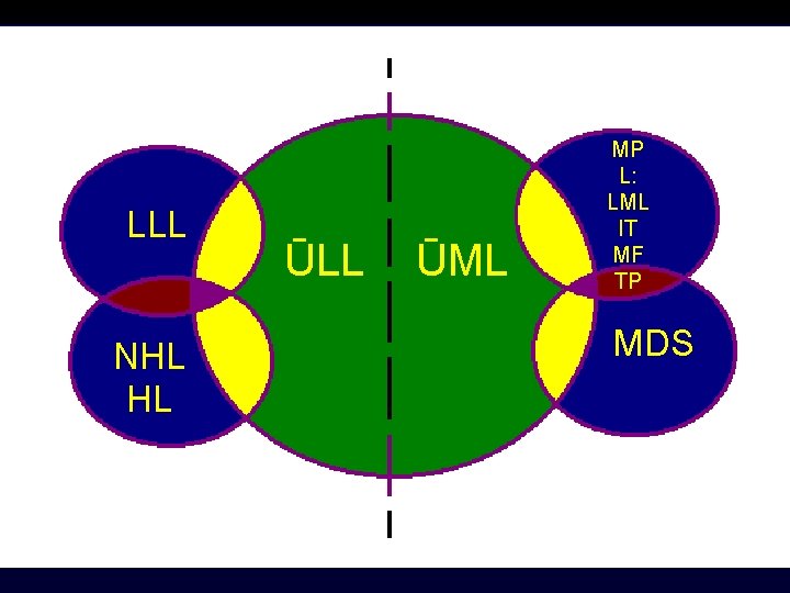 LLL NHL HL ŪLL ŪML MP L: LML IT MF TP MDS 