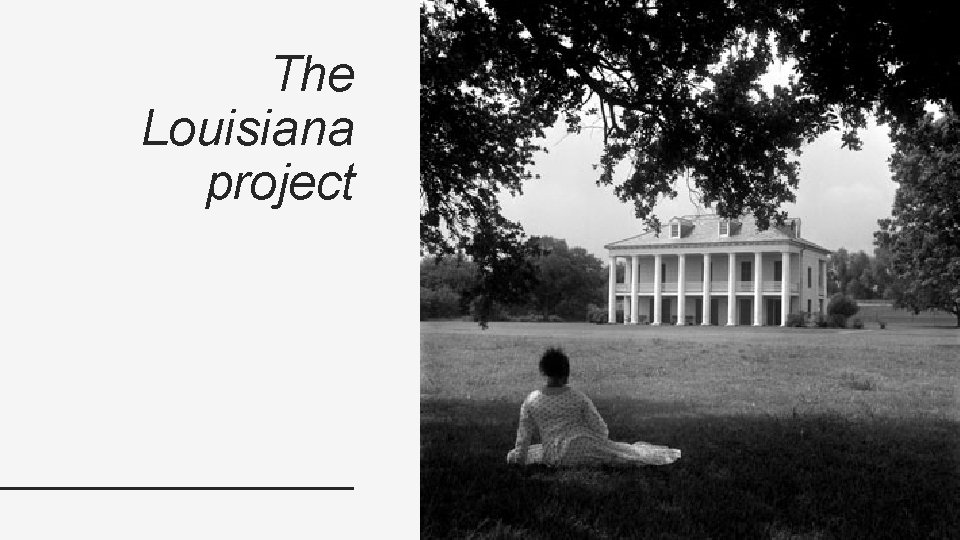 The Louisiana project 