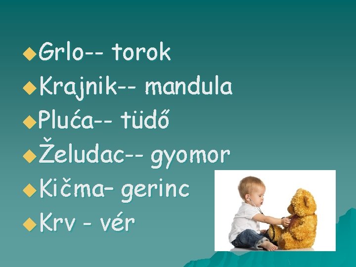 u. Grlo-- torok u. Krajnik-- mandula u. Pluća-- tüdő uŽeludac-- gyomor u. Kičma– gerinc