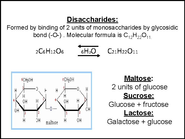 Disaccharides: Formed by binding of 2 units of monosaccharides by glycosidic bond (-O-). Molecular