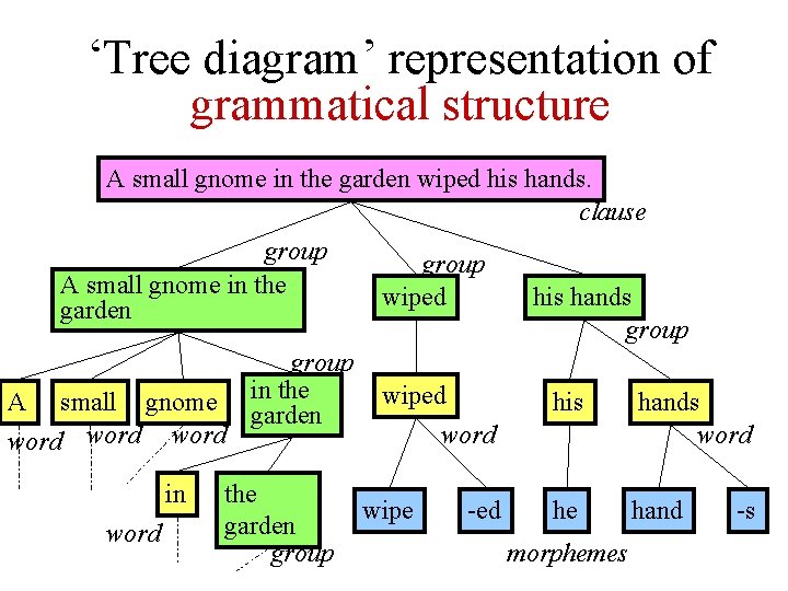 ‘Tree diagram’ representation of grammatical structure A small gnome in the garden wiped his