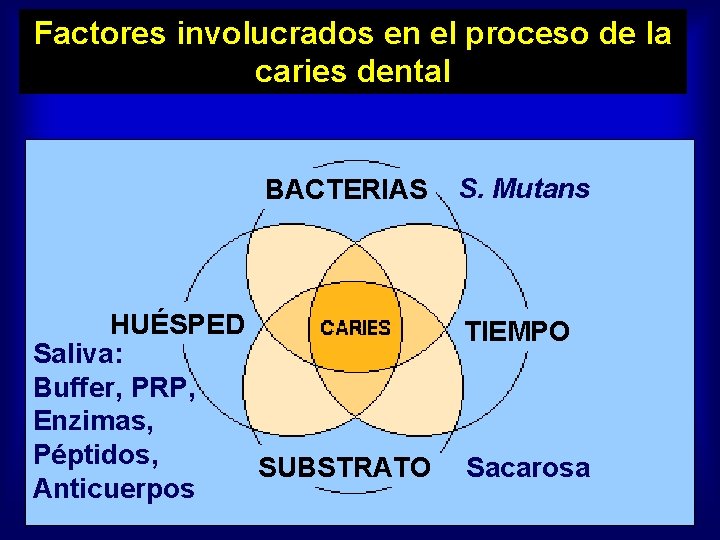 Factores involucrados en el proceso de la caries dental BACTERIAS HUÉSPED Saliva: Buffer, PRP,