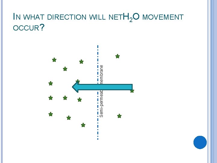 Semi-permeable membrane IN WHAT DIRECTION WILL NETH 2 O MOVEMENT OCCUR? 