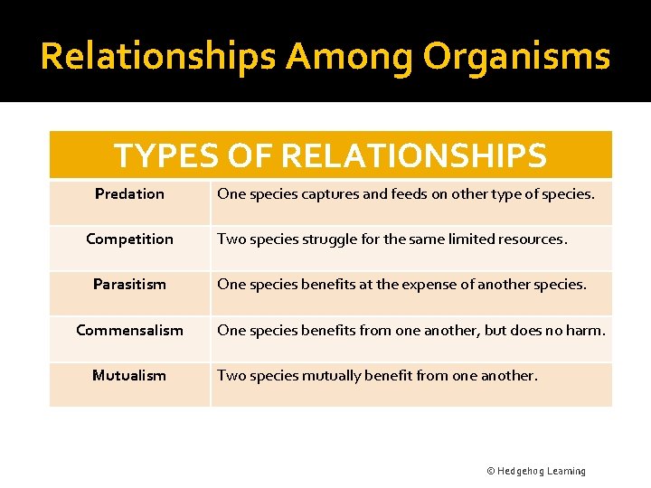 Relationships Among Organisms TYPES OF RELATIONSHIPS Predation Competition Parasitism Commensalism Mutualism One species captures
