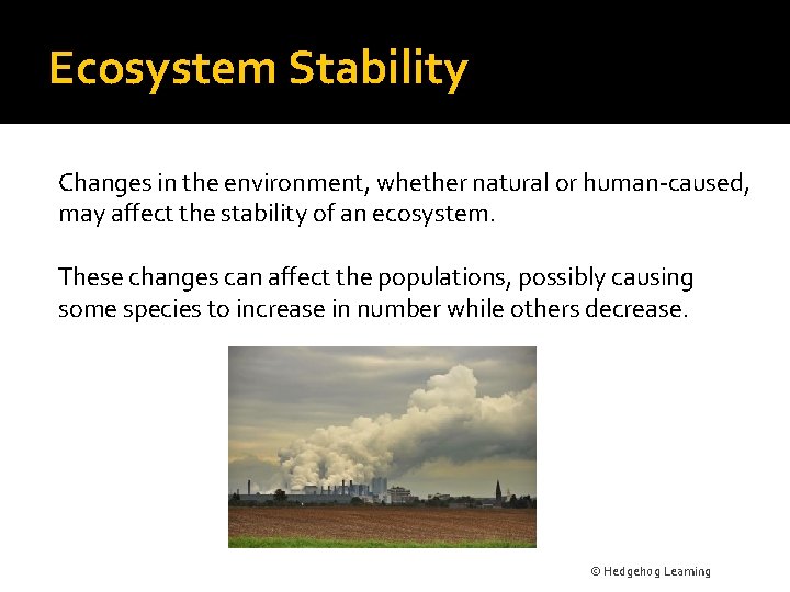Ecosystem Stability Changes in the environment, whether natural or human-caused, may affect the stability