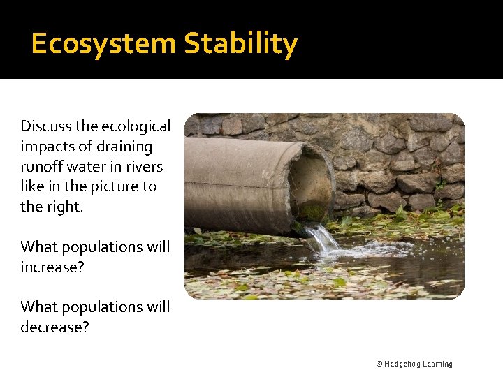 Ecosystem Stability Discuss the ecological impacts of draining runoff water in rivers like in