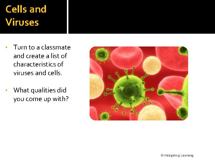 Cells and Viruses • Turn to a classmate and create a list of characteristics