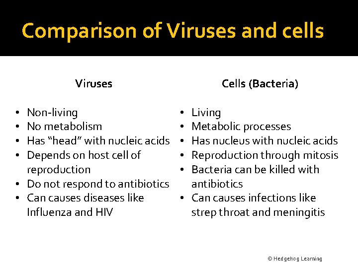 Comparison of Viruses and cells Viruses Non-living No metabolism Has “head” with nucleic acids