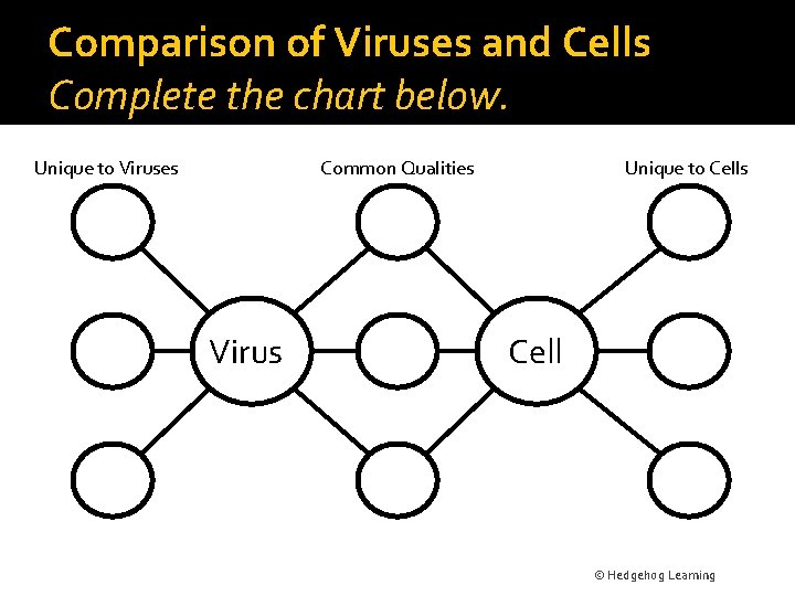 Comparison of Viruses and Cells Complete the chart below. Unique to Viruses Common Qualities