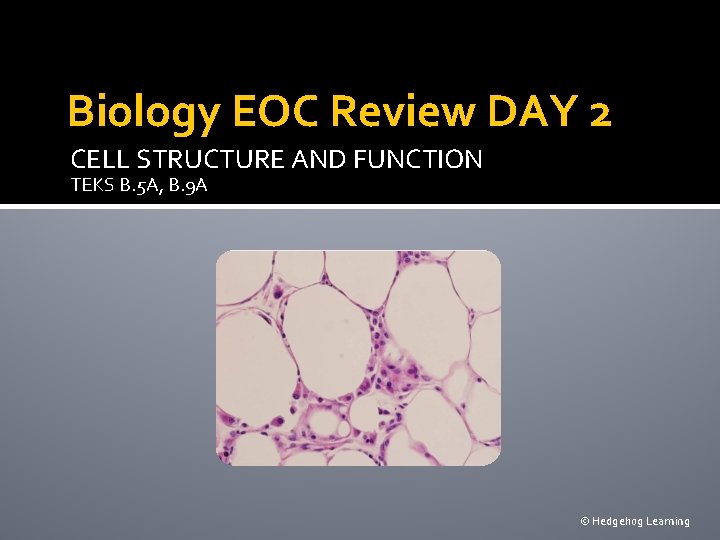 Biology EOC Review DAY 2 CELL STRUCTURE AND FUNCTION TEKS B. 5 A, B.