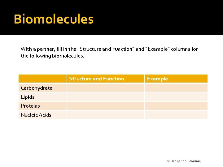 Biomolecules With a partner, fill in the “Structure and Function” and “Example” columns for