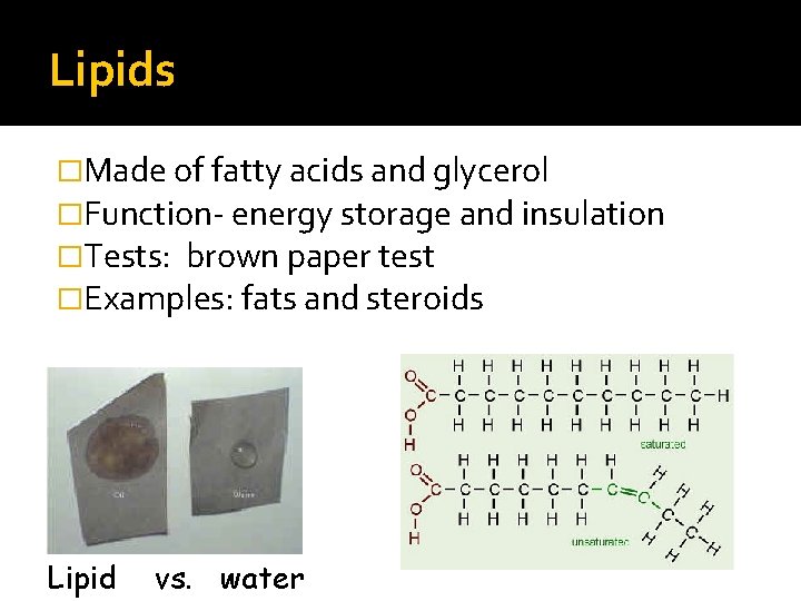 Lipids �Made of fatty acids and glycerol �Function- energy storage and insulation �Tests: brown