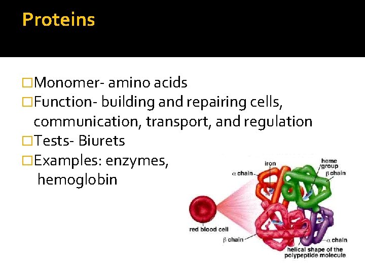 Proteins �Monomer- amino acids �Function- building and repairing cells, communication, transport, and regulation �Tests-